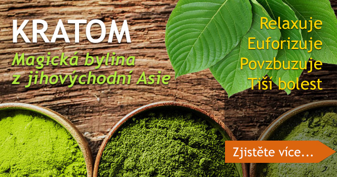 KRATOM – KOUZELNÁ BYLINA Z JIHOVÝCHODNÍ ASIE